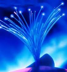 fibre